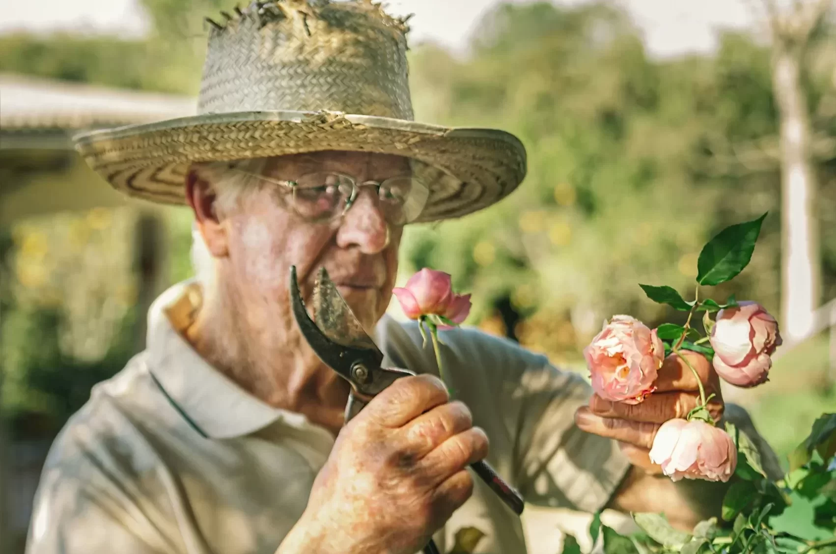 Pensioner in the garden