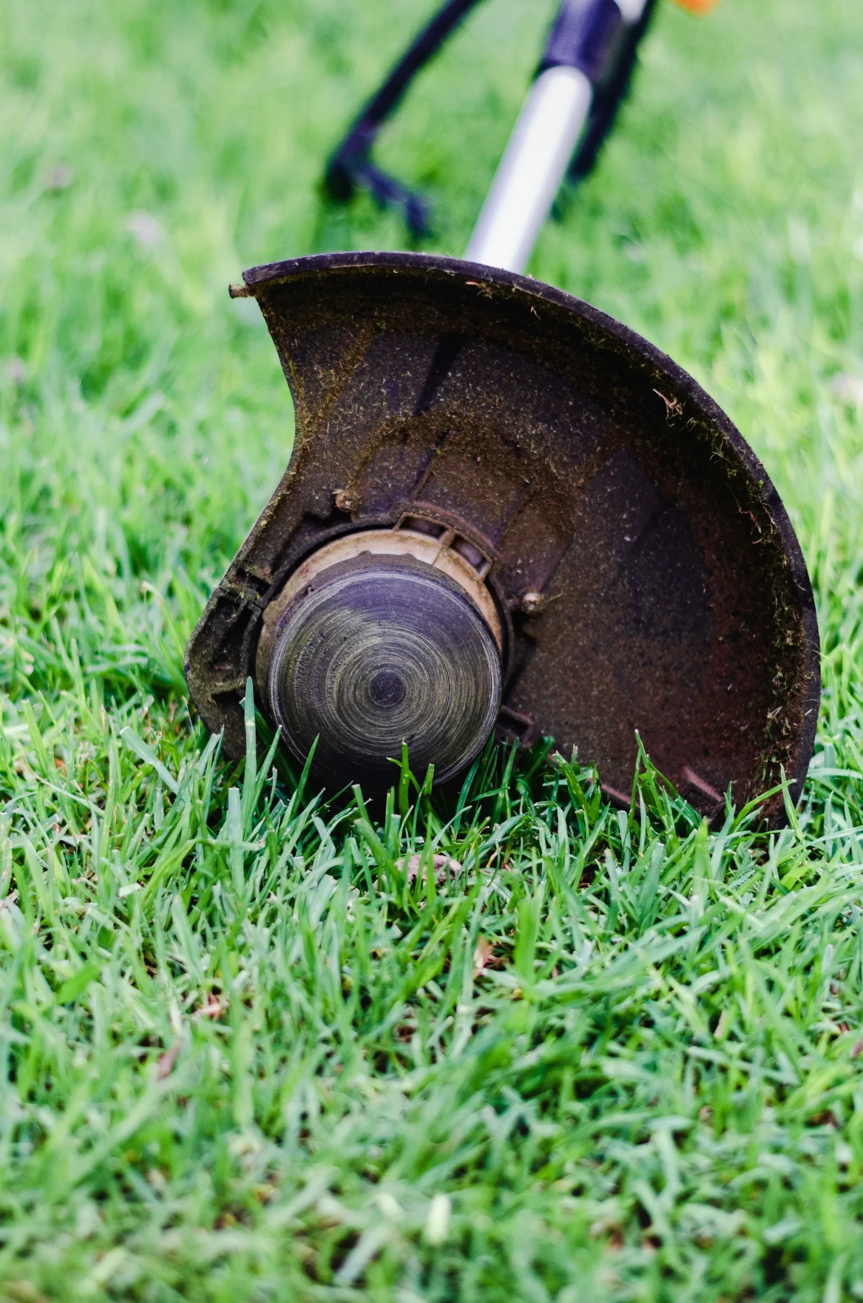 Lawn mowing service being completed with whipper snipper